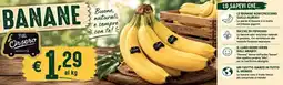 Coal City Banane Fill Orsero Qualità offerta