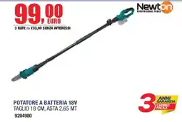 Self Potatore a batteria 18V Newton offerta