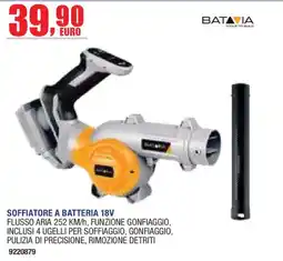 Self Soffiatore a batteria 18V Batavia offerta