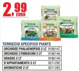 Self Terriccio specifico piante offerta