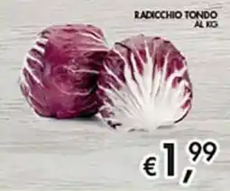 Coal City Radicchio Tondo offerta