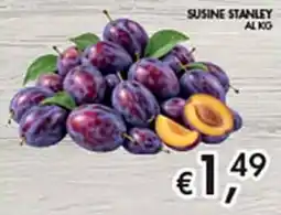 Coal City Susine Stanley offerta