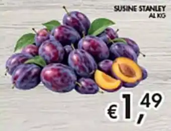 Susine Stanley