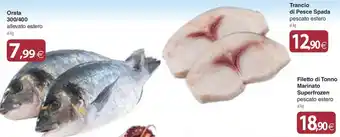 Trancio di Pesce Spada