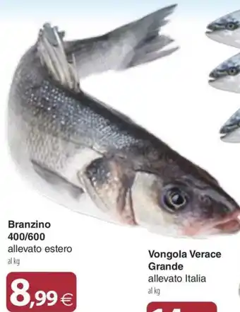 Docks Cash&Carry Branzino offerta