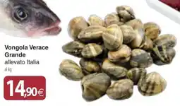 Docks Cash&Carry Vongola Verace Grande offerta