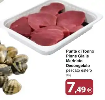 Punte di Tonno Pinne Gialle