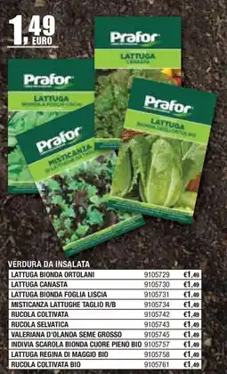 Self Prafor Lattuga offerta