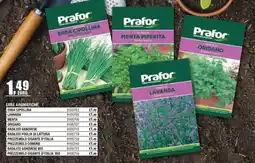 Self Prafor Erba Cipollina offerta