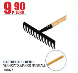 Self Rastrello 12 denti verniciato, manico naturale offerta