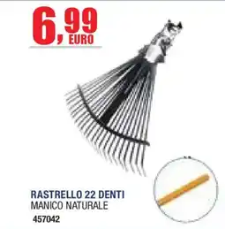 Self Rastrello 22 denti manico naturale offerta