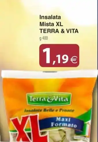 Docks Cash&Carry Insalata Mista XL Terra & Vita offerta