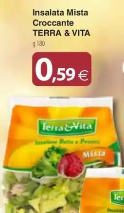 Docks Cash&Carry Insalata Mista Croccante Terra & Vita offerta