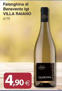 Docks Cash&Carry Falanghina di Benevento Igt Villa Raiano offerta