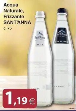 Docks Cash&Carry Acqua Naturale Frizzante Sant'Anna offerta