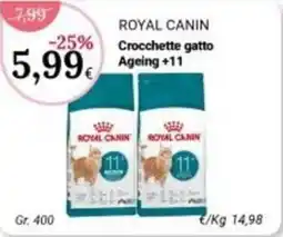 Re Mercato Lucrezia Royal Canin Crocchette gatto Ageing +11 offerta