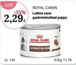 Re Mercato Lucrezia Royal Canin Lattina cane gastrointestinal puppy offerta