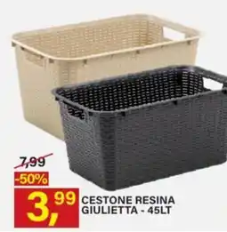 Ni Hao Market Cestone resina Giulietta offerta