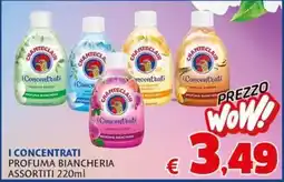 Europlanet Casa I Concentrati Profuma Biancheria offerta