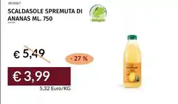 Prezzemolo e Vitale Scaldasole spremuta di ananas offerta