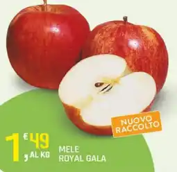 Supermercati Dok Mele Royal Gala offerta