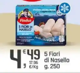 Supermercati Dok Findus 5 Fiori di Nasello offerta