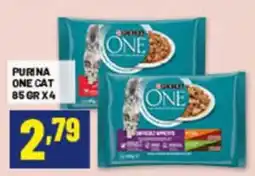 Risparmio Casa Purina One Cat offerta