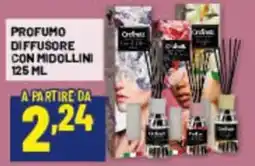 Risparmio Casa Profumo diffusore con midollini offerta