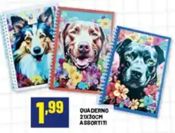 Risparmio Casa Quaderno assortiti offerta
