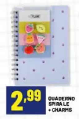 Risparmio Casa Quaderno spirale + charms offerta