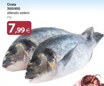 Docks Cash&Carry Orata offerta
