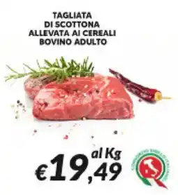 Supermercati Visotto Tagliata di scottona allevata ai cereali bovino adulto offerta