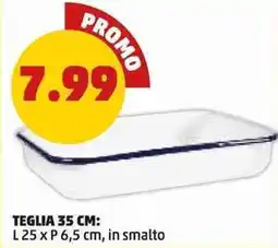 PENNY Teglia in smalto offerta