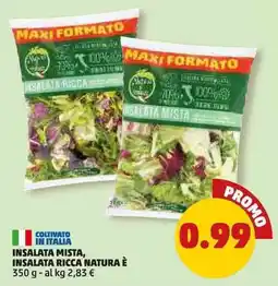 PENNY Insalata mista, insalata ricca natura è offerta