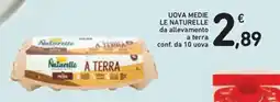 Conad Superstore Uova medie Naturelle a terra offerta