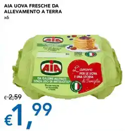 Migross Supermercati e Market AIA uova fresche da allevamento a terra offerta
