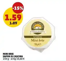 PENNY Mini brie offerta