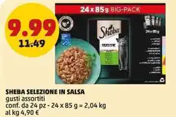 PENNY Sheba selezione in salsa offerta
