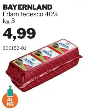 GrosMarket Edam tedesco offerta