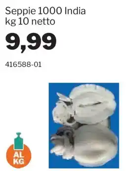 GrosMarket Seppie 1000 India offerta