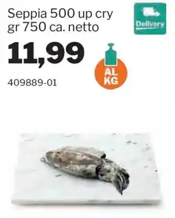 GrosMarket Seppia offerta