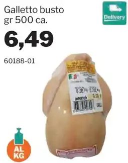 GrosMarket Galletto busto offerta