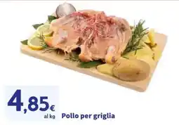 Sigma Pollo per griglia offerta
