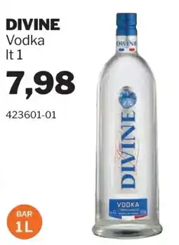 GrosMarket Divine Vodka offerta