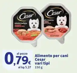 Sigma Alimento per cani Cesar offerta