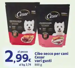Sigma Cibo secco per cani Cesar offerta