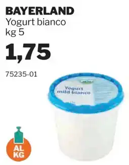 GrosMarket Bayerland Yogurt bianco offerta