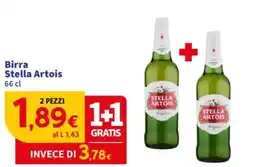 Sigma Birra Stella Artois offerta