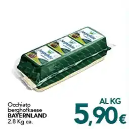Altasfera Occhiato berghofkaese BAYERNLAND offerta