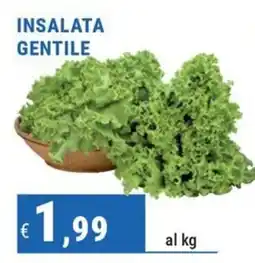 DiMeglio Insalata Gentile offerta